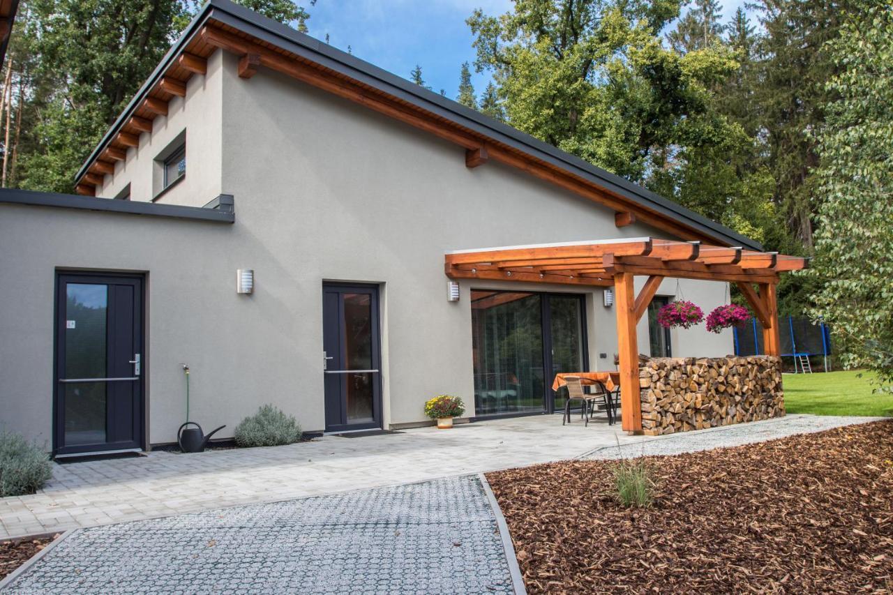 Apartmany Pod Lesem II Rodvínov Buitenkant foto