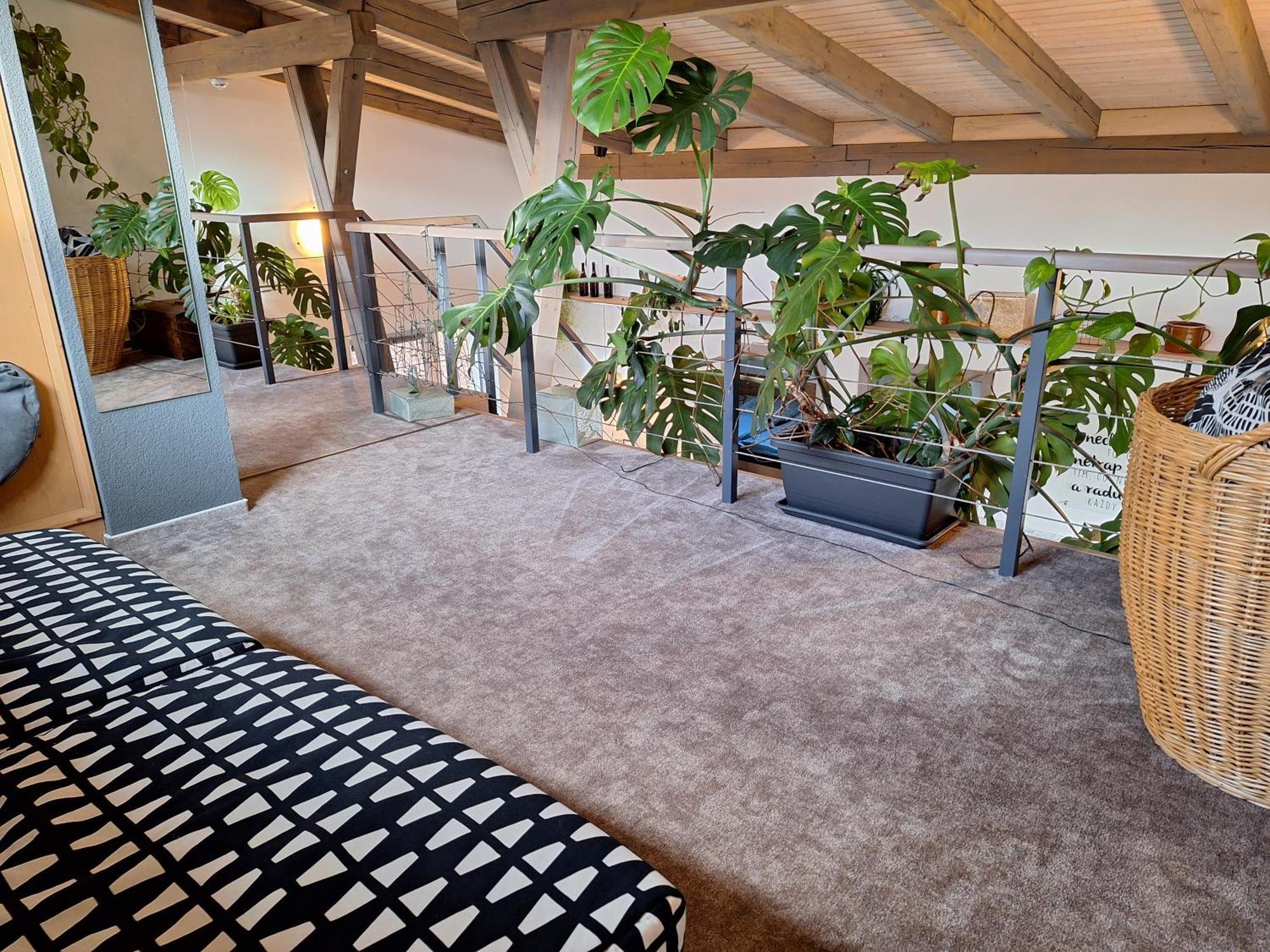 Apartmany Pod Lesem II Rodvínov Buitenkant foto