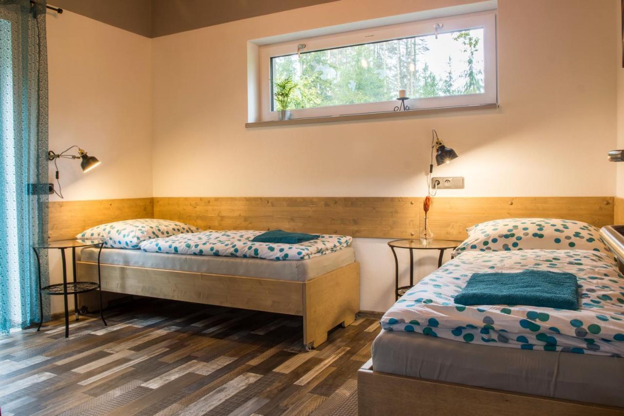 Apartmany Pod Lesem II Rodvínov Buitenkant foto