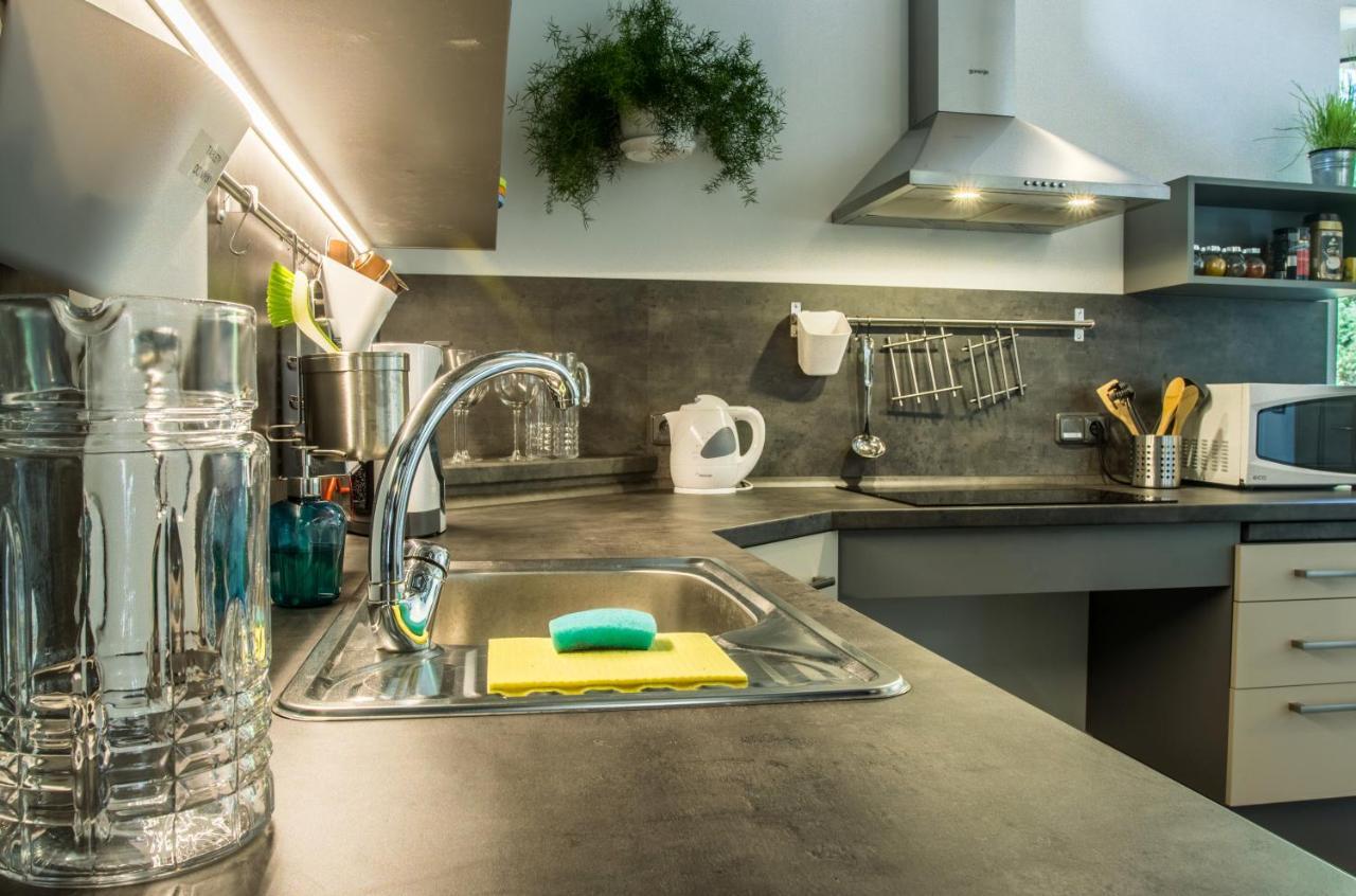 Apartmany Pod Lesem II Rodvínov Buitenkant foto